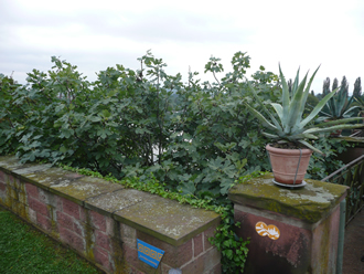Gartenlandschaft