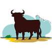 Stier